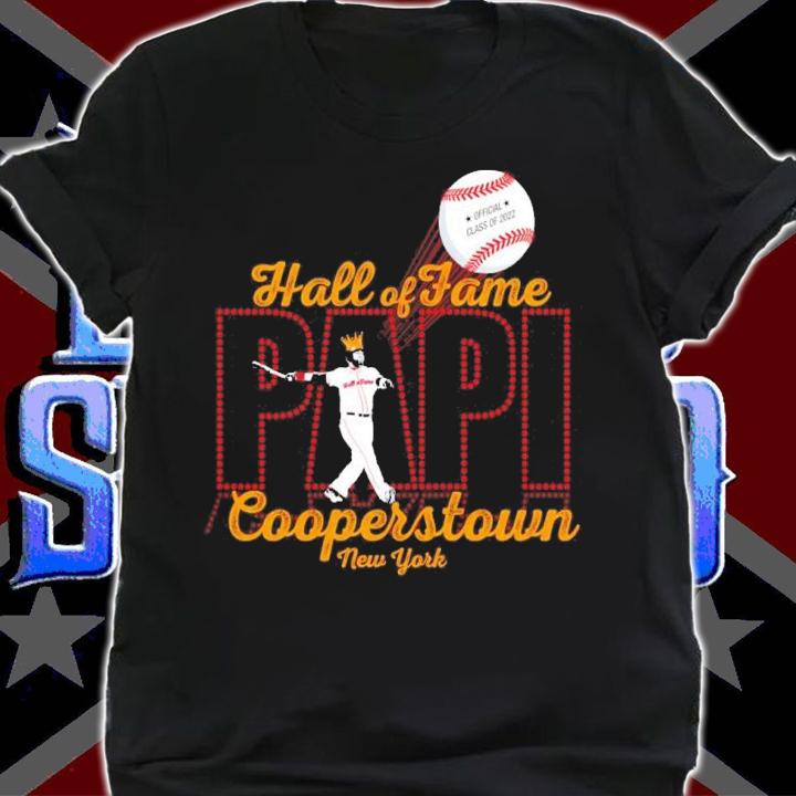 Hall Of Fame Papi David Ortiz Boston Red Sox Class Of 2022 Shirt t-shirt
