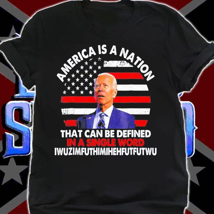 Joe Biden America Is A Nation That Can Be Defined In Single Word T-Shirt t-shirt