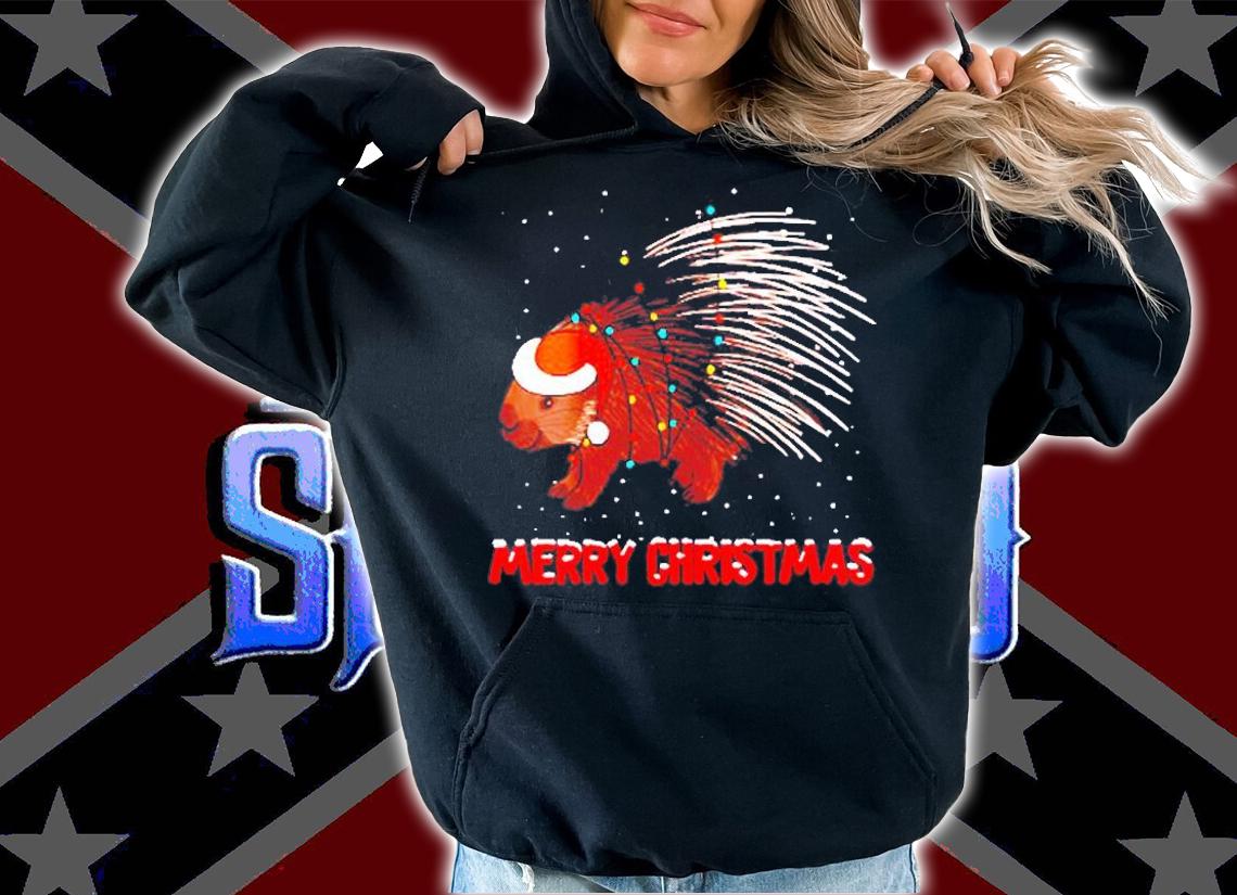Womens Cute Porcupine Christmas Tree Lights T-Shirt t-shirt