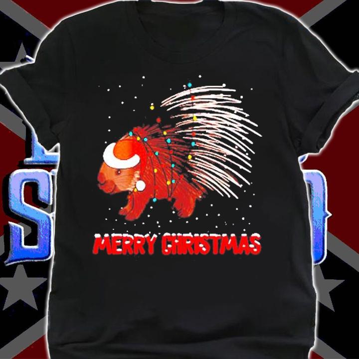 Womens Cute Porcupine Christmas Tree Lights T-Shirt t-shirt