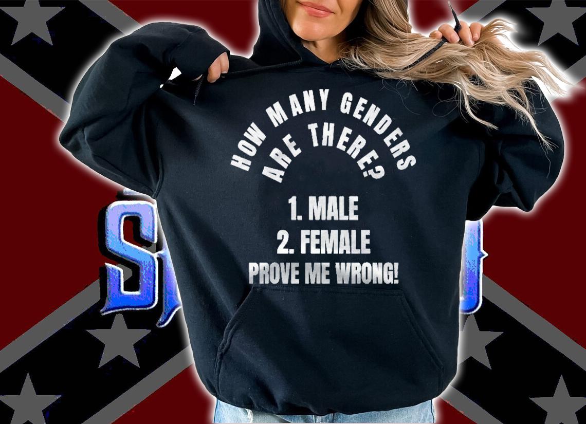 How Many Genders Are There 2 Male And Female Design Pullover Shirt hoodie