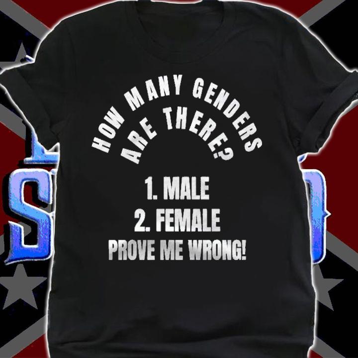 How Many Genders Are There 2 Male And Female Design Pullover Shirt shirt